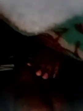 entrainer99 online show from 01/09/26, 07:37