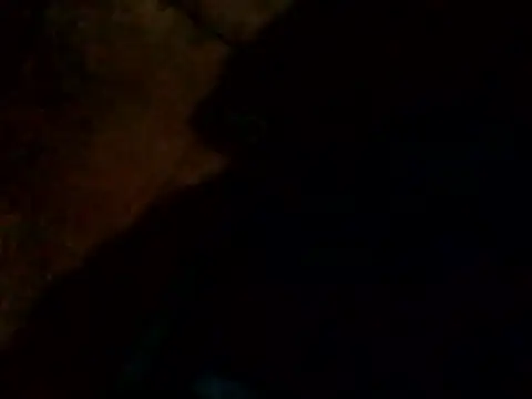 Guanatos13 online show from 02/24/26, 04:21