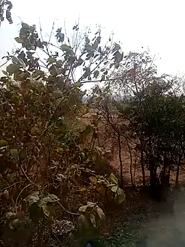 DesiPlayboy09 online show from 02/22/26, 08:24