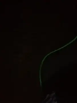 leox98xx online show from 01/10/26, 09:33