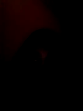 arushi bb online show from 01/15/26, 03:38