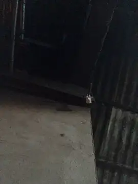 sun-shii online show from 04/16/26, 10:45