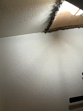 JoeyBlazy online show from 01/12/26, 01:00