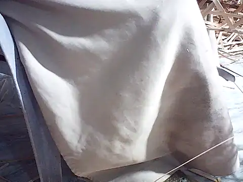 Futar8388 online show from 01/13/26, 12:21