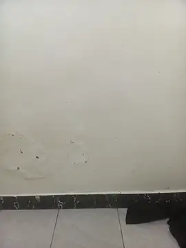 PatriciaVen online show from 02/03/26, 06:22