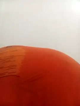 PatriciaVen online show from 02/09/26, 04:16