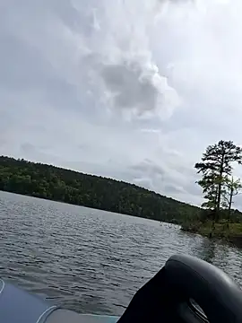 tastemecaroline online show from 04/15/26, 08:20