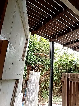 dicklife3485 online show from 02/24/26, 08:23