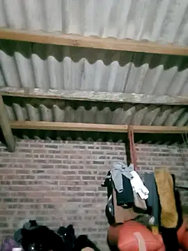 Diana-02 online show from 02/28/26, 11:55