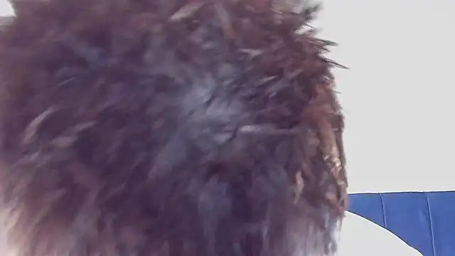 DrakeCarter online show from 02/26/26, 01:48