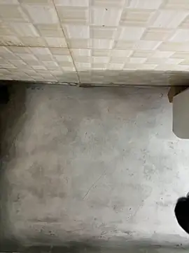 nmducnb online show from 04/19/26, 08:13