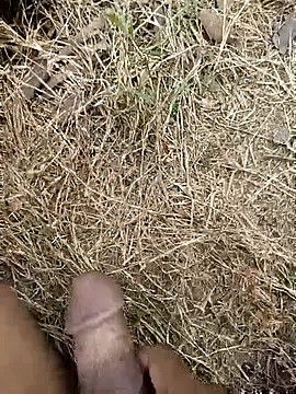ankit barma009 online show from 02/03/26, 09:03