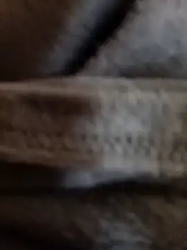 Snapshot of Daisy91 chatting on 01/14/26, 03:06 Daisy91 online show from 01/14/26, 03:06