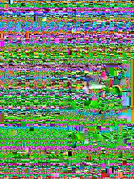 Wicy23 online show from 05/29/26, 03:48
