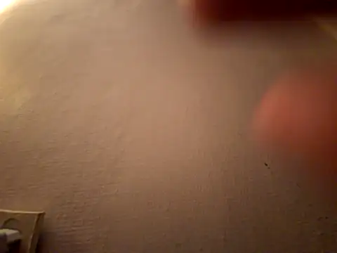 DanekBear online show from 04/14/26, 10:38