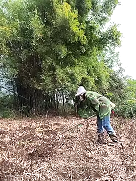 Jooj- online show from 03/22/26, 09:02