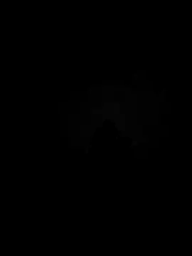 Cz Drax online show from 05/13/26, 02:47