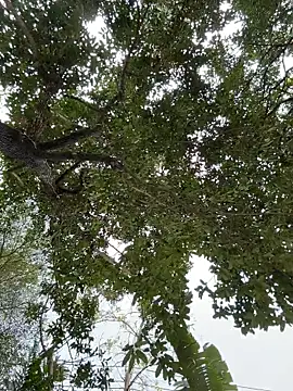 IceMur online show from 02/23/26, 03:04