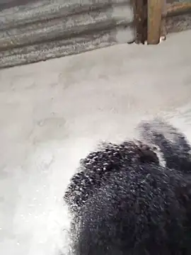 vaniyna online show from 02/22/26, 10:58