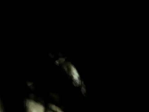 PalomaAguilarx69 online show from 04/01/26, 04:02