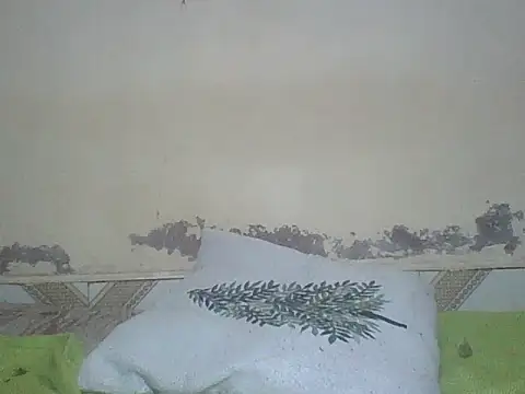 Snapshot of Sexyass100 chatting on 07/15/26, 07:41 Sexyass100 online show from 07/15/26, 07:41