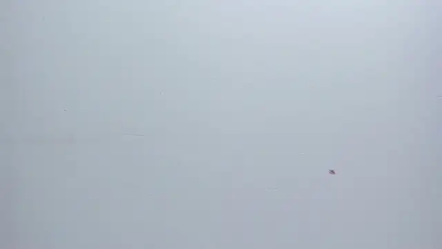 Melanie  Evans online show from 03/17/26, 10:51