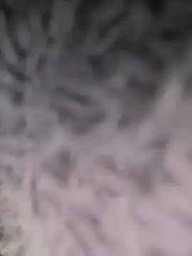 Snapshot of Puka2001 chatting on 03/02/26, 06:14 Puka2001 online show from 03/02/26, 06:14