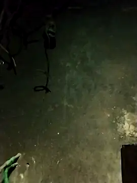 Snapshot of Hoa-tuylip chatting on 02/13/26, 01:29 Hoa-tuylip online show from 02/13/26, 01:29