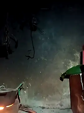 Hoa-tuylip online show from 03/04/26, 10:16