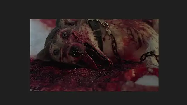 lil monikaa online show from 04/12/26, 01:54