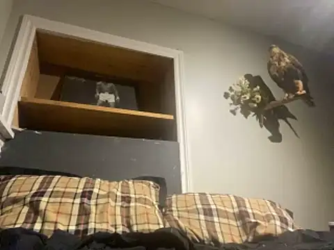 Snapshot of yourwhiteboy1 chatting on 03/01/26, 03:08 yourwhiteboy1 online show from 03/01/26, 03:08