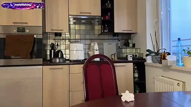 RenMeow online show from 02/17/26, 04:13