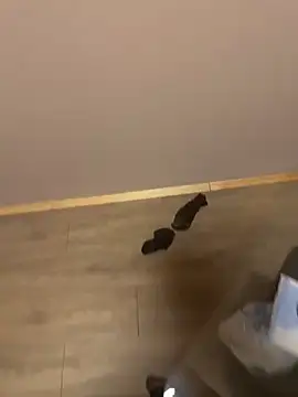 Snapshot of kin-y7 chatting on 02/07/26, 03:43 kin-y7 online show from 02/07/26, 03:43