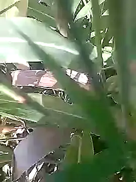 Cute Boy 4 online show from 03/01/26, 05:09