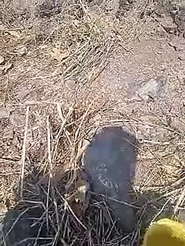 Cute Boy 4 online show from 03/20/26, 10:09