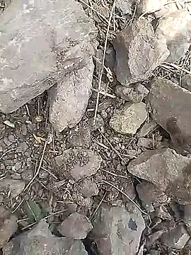 Cute Boy 4 online show from 03/30/26, 06:47