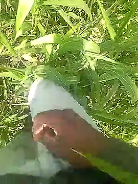 Cute Boy 4 online show from 03/31/26, 06:03