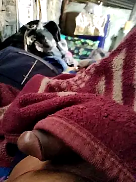 Snapshot of crazyxy12 chatting on 02/07/26, 06:17 crazyxy12 online show from 02/07/26, 06:17