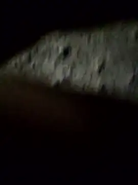 Snapshot of crazyxy12 chatting on 02/08/26, 03:48 crazyxy12 online show from 02/08/26, 03:48