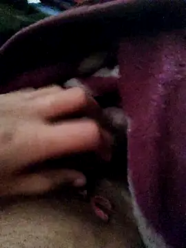 Snapshot of crazyxy12 chatting on 02/12/26, 05:02 crazyxy12 online show from 02/12/26, 05:02