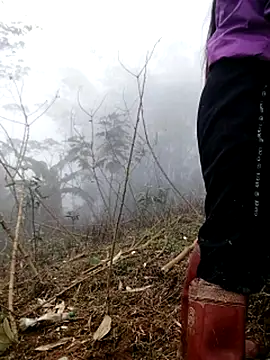 Tina-beo online show from 03/21/26, 08:19