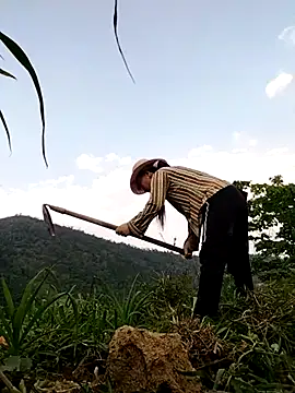 Tina-beo online show from 04/10/26, 08:19