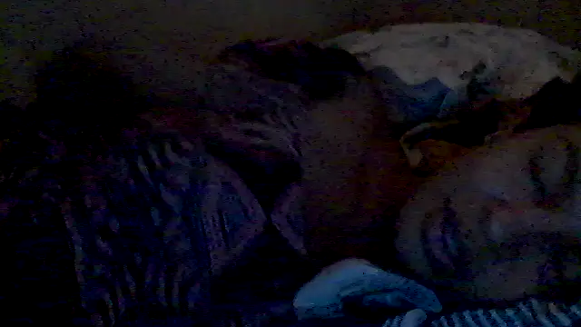 Snapshot of lorraine2036 chatting on 02/17/26, 02:57 lorraine2036 online show from 02/17/26, 02:57