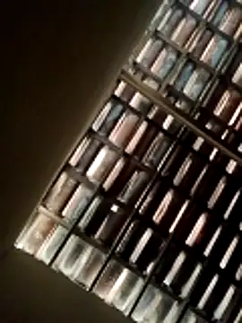 Snapshot of lorraine2036 chatting on 02/22/26, 09:52 lorraine2036 online show from 02/22/26, 09:52