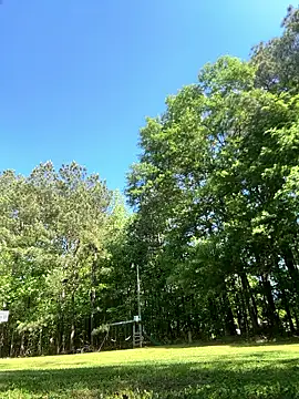 magic man1085 online show from 04/18/26, 02:54