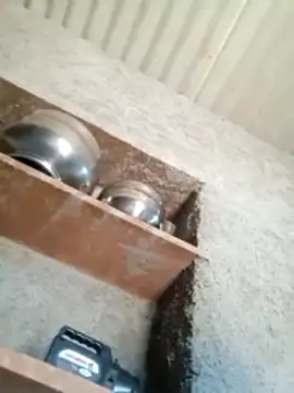 Lucky couple-1 online show from 02/14/26, 08:55