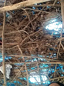 Rajni248096 online show from 03/12/26, 07:58