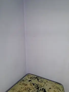 LollaHeart online show from 02/10/26, 06:56