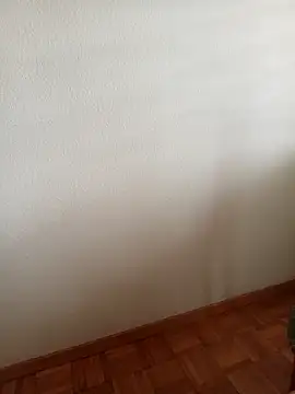 Snapshot of baipal74 chatting on 02/19/26, 12:45 baipal74 online show from 02/19/26, 12:45