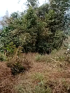 sushi-asa online show from 02/24/26, 01:47